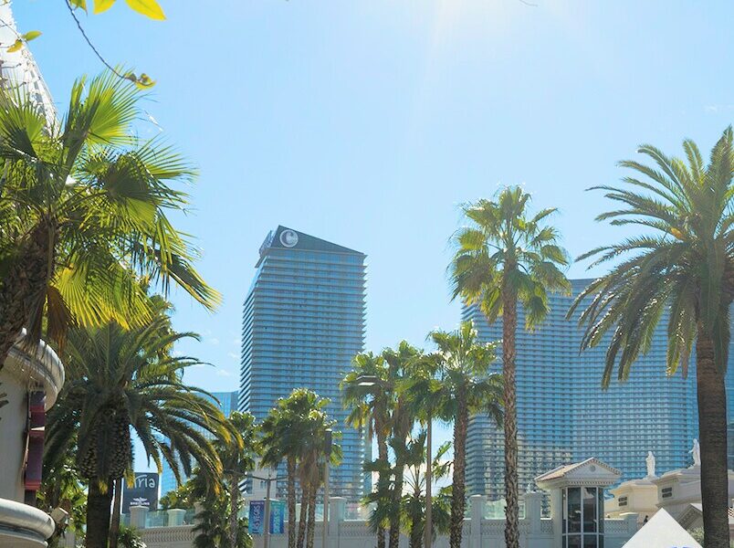 New View Real Estate Co
