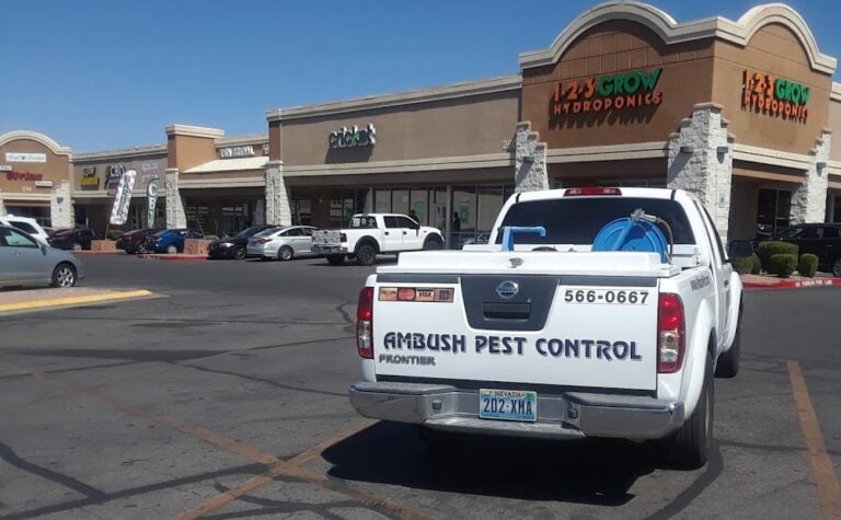 Ambush Pest Control