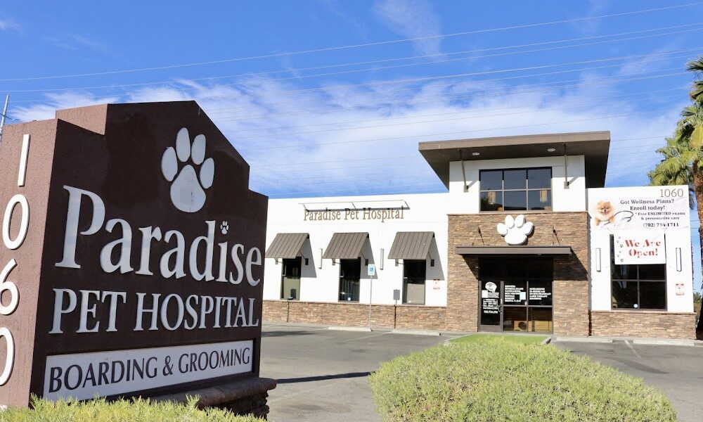Paradise Pet Hospital